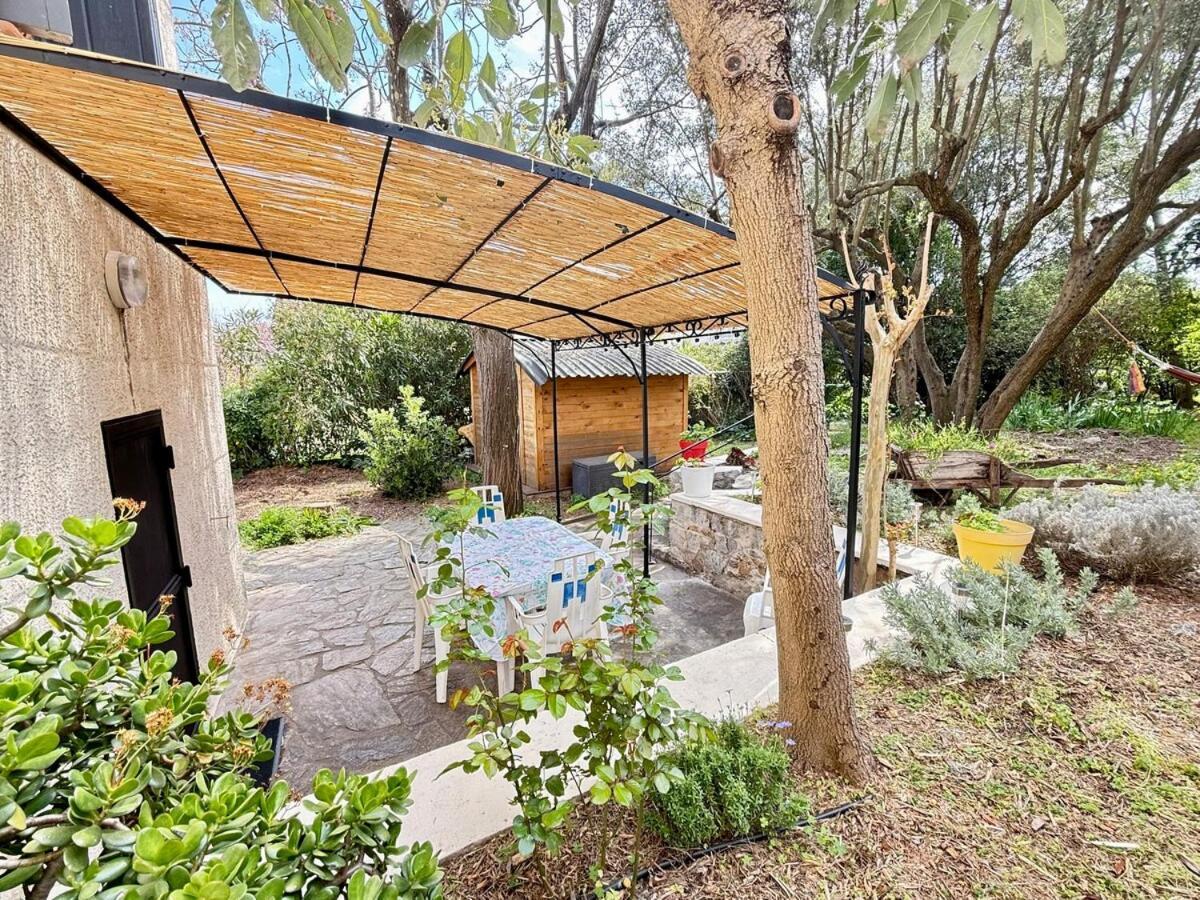 Jardin & Terrasse Ombragee - T2 Cozy Et Paisible Διαμέρισμα La Garde  Εξωτερικό φωτογραφία